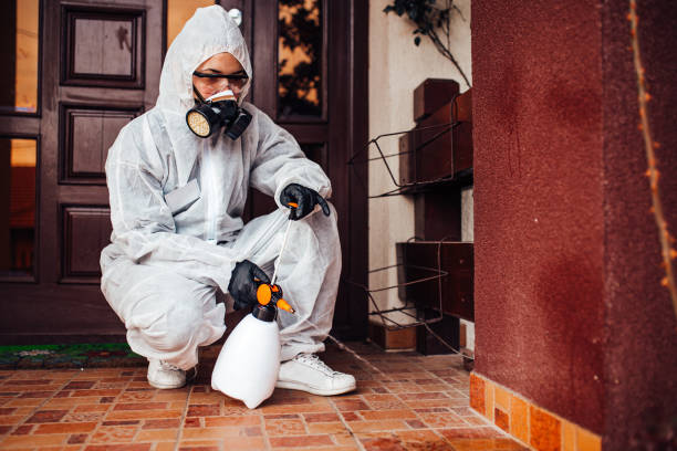 Reliable Wasp Removal contractor in Balcones Heights, TX by Show Me Pest Control